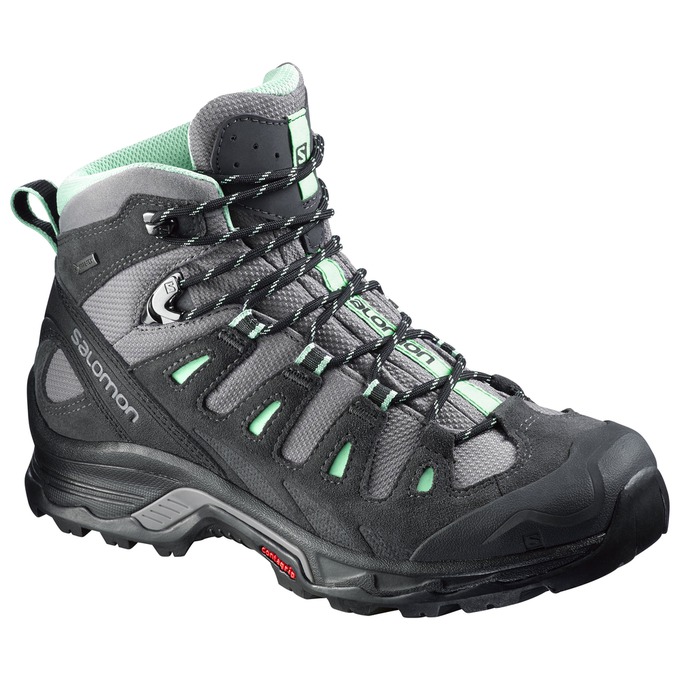 SALOMON QUEST PRIME GTX® W Philippines - Women's Hiking Boots - Black/Silver | 416829-SPN